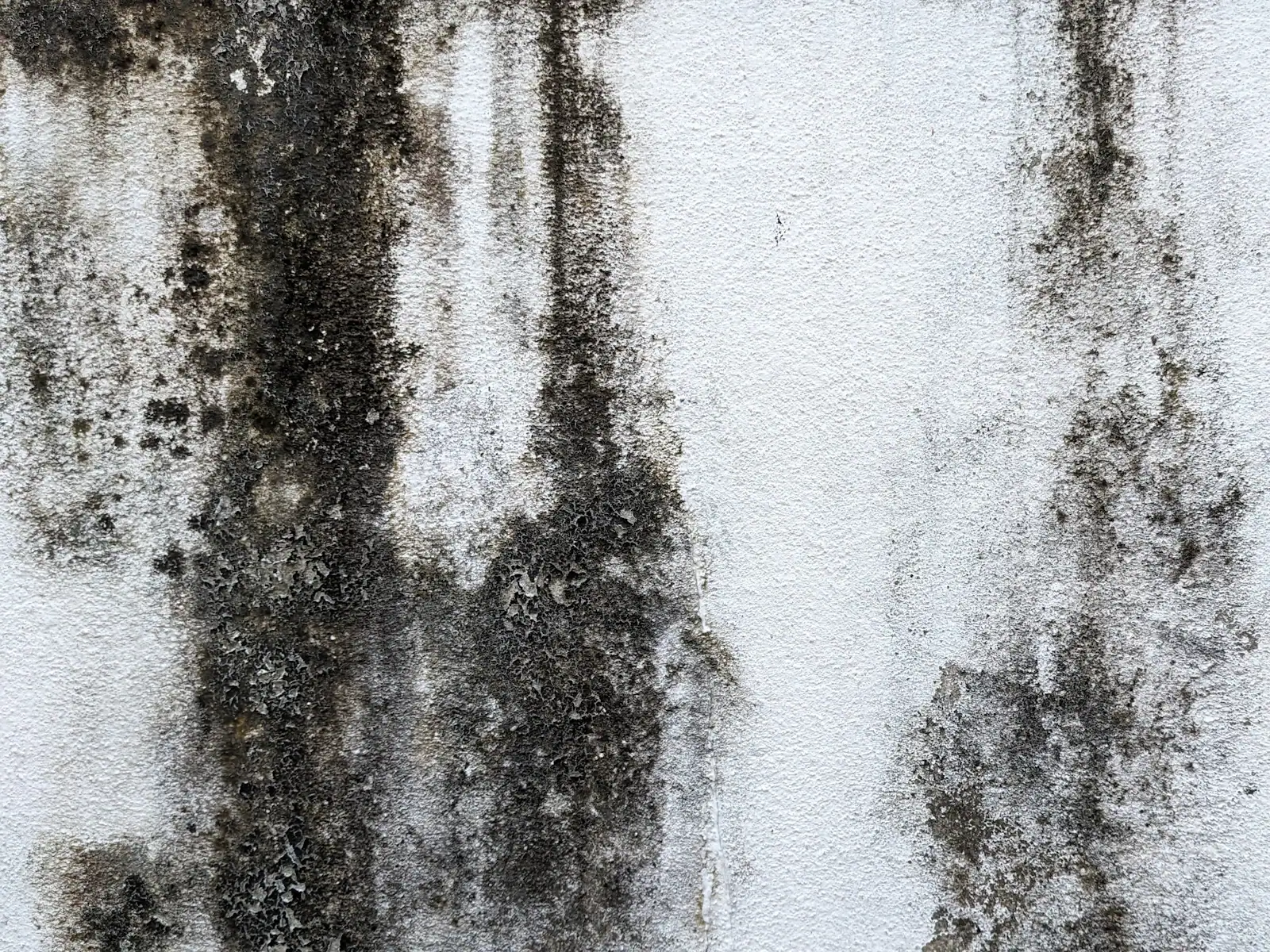 Black mold streaks running down a white wall
