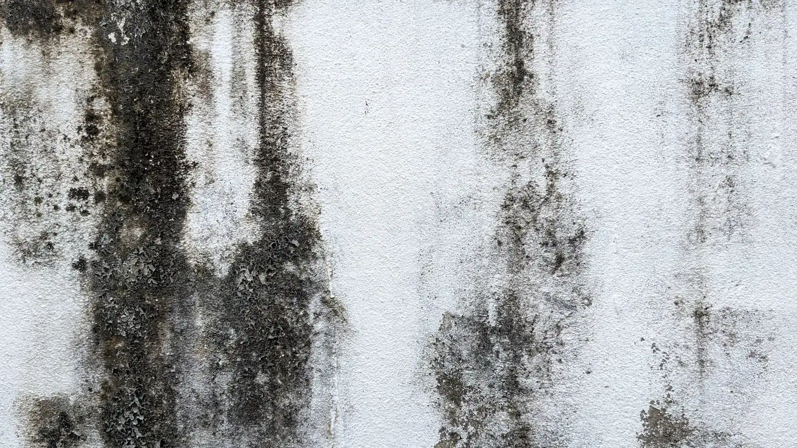 Black mold streaks running down a white wall